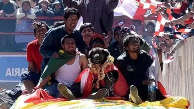Murio petardo El perro que se convirtió en símbolo de lucha cívica y unidad Petardo El perro que se convirtio en simbolo de lucha civica de potosi
